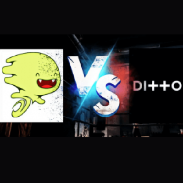 Ditto vs DistroKid: ¿Cuál es mejor para distribuir tu música en todos los servicios de streaming?